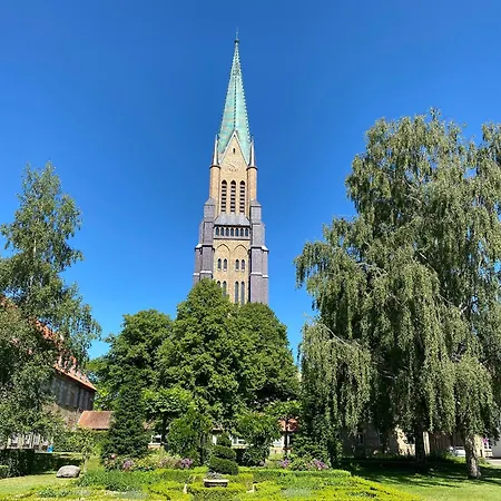 Moewenblick Im Wikingturm Schleswig