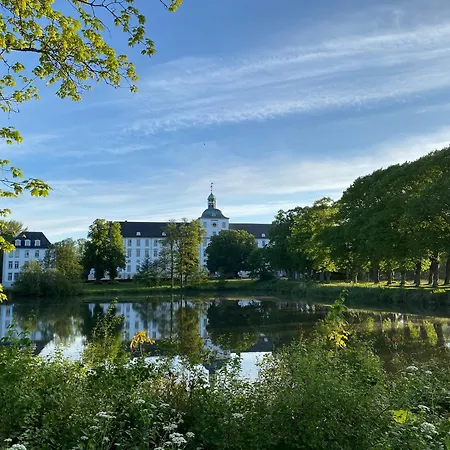 Moewenblick Im Wikingturm Schleswig