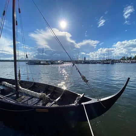 Möwenblick Im Wikingturm * Schleswig